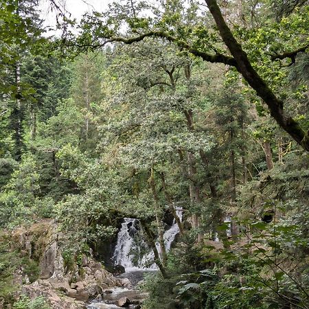 Le Petit Counehet Cornimont Εξωτερικό φωτογραφία