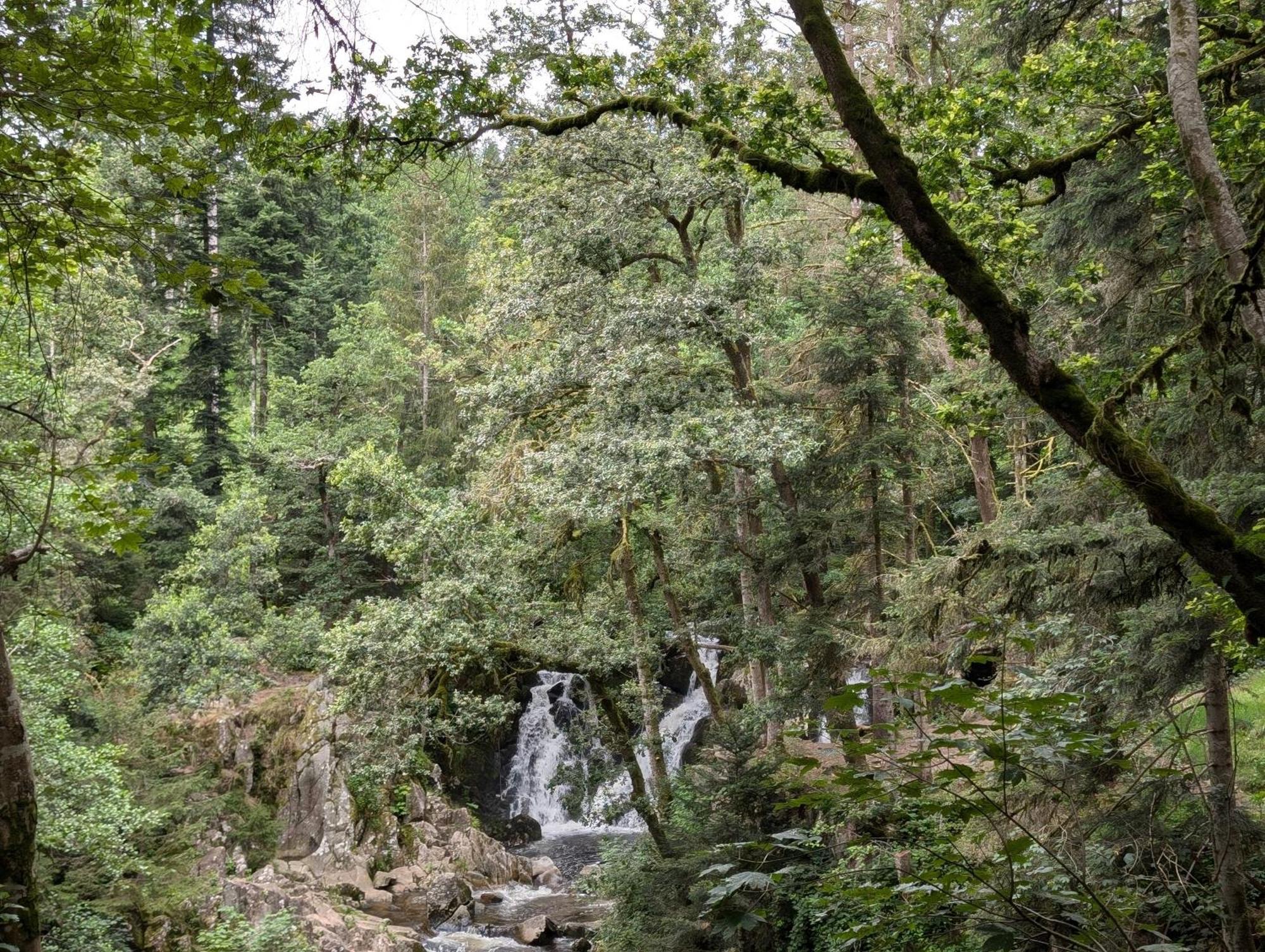 Le Petit Counehet Cornimont Εξωτερικό φωτογραφία